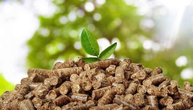 Pellet