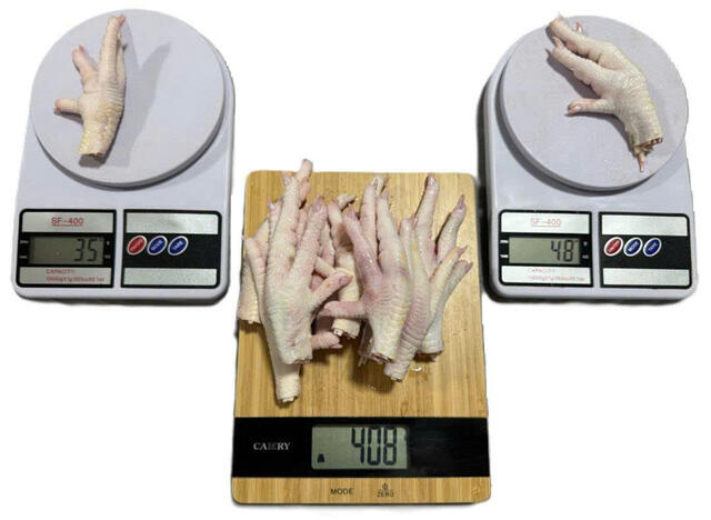 CHICKEN FEET_VAG