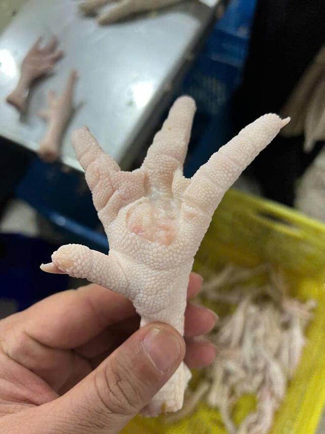 CHICKEN FEET_VAG