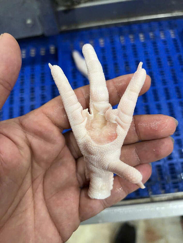 CHICKEN FEET_VAG