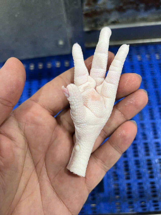 CHICKEN FEET_VAG